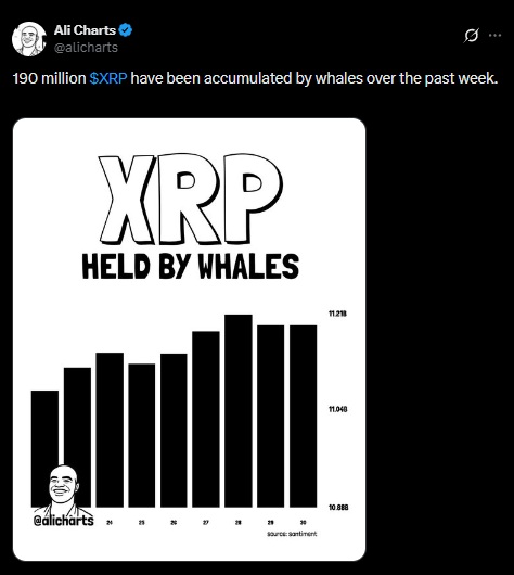 XRP ali martinez