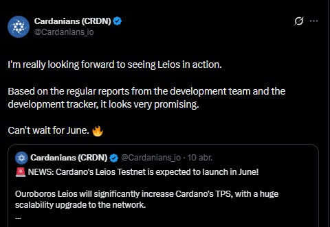 Cardano ouroboros leios