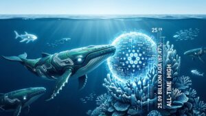 Las ballenas de Cardano controlan el 67,47% del suministro circulante
