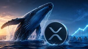Las Ballenas De XRP Alcanzan Niveles Récord Mientras 332.000 Carteras Continúan Acumulando