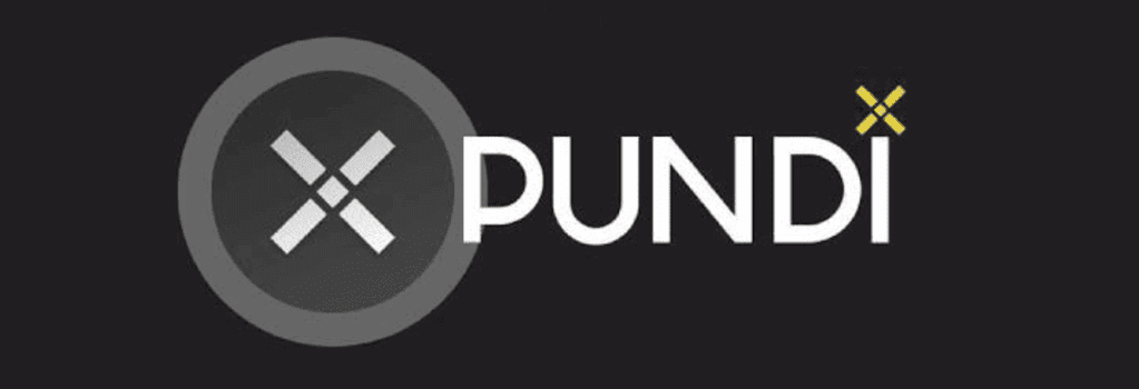 Pundi x