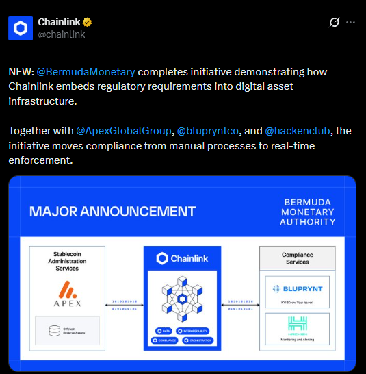 Chainlink bermuda