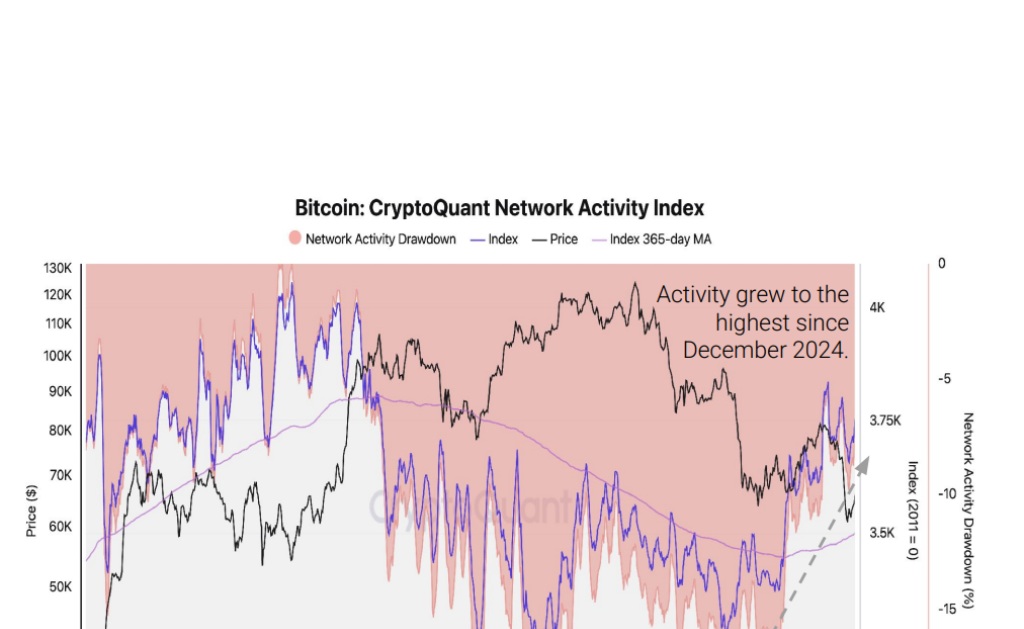 Bitcoin cryptoquant