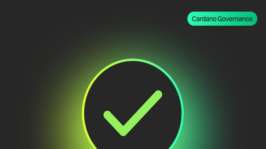La Fundación Cardano Detalla sus Decisiones de Voto para el Presupuesto de Intersect 2026