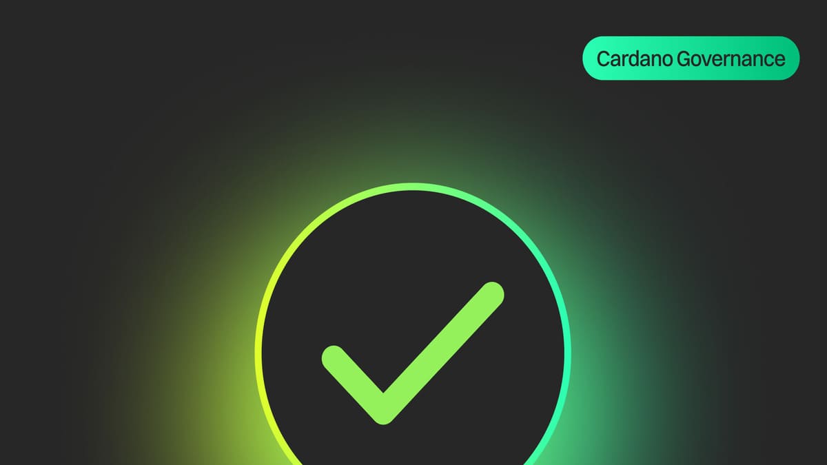 La Fundación Cardano Detalla sus Decisiones de Voto para el Presupuesto de Intersect 2026