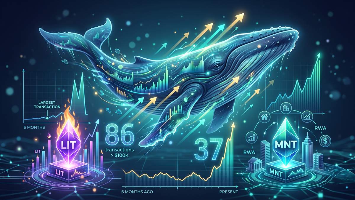 Ballenas hacen su mayor movimiento- altcoins-