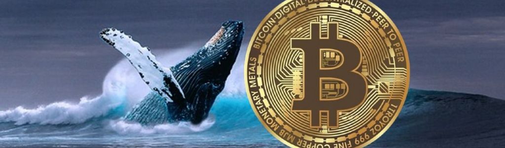Las ballenas de Bitcoin acumularon 38.000 BTC mediante direcciones de acumulación, reduciendo la cantidad de oferta disponible en exchanges.