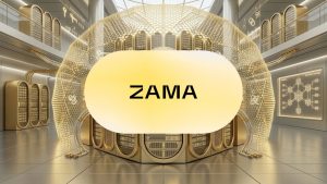 Zama Protocol Review: La Solución De Privacidad Definitiva Para Un Desarrollo Web3 Seguro