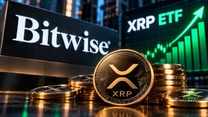 Bitwise reanuda las compras de XRP tras cinco días sin entradas en su ETF