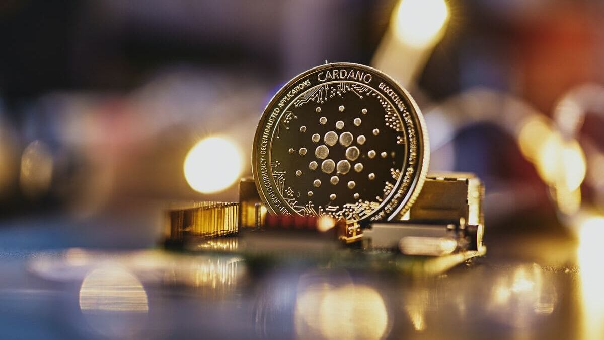 Cardano Vasil Hard Fork 29 cardano-vasil-hard-fork-29