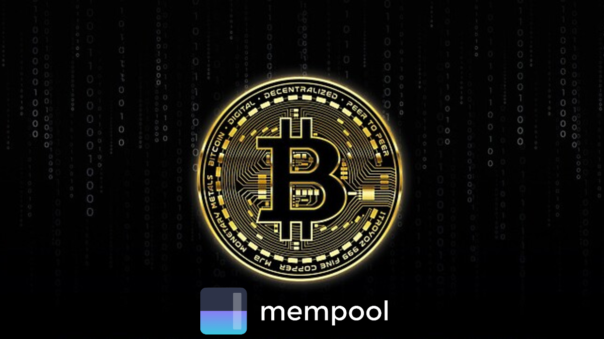 Se Espera Que El Tamaño Promedio De Los Bloques De Bitcoin Supere Los 4 ...