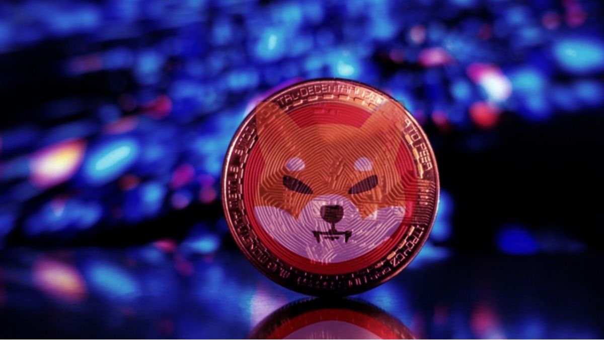 Shiba Inu Quema 715K Tokens, Despierta Especulación Y FOMO - Crypto ...