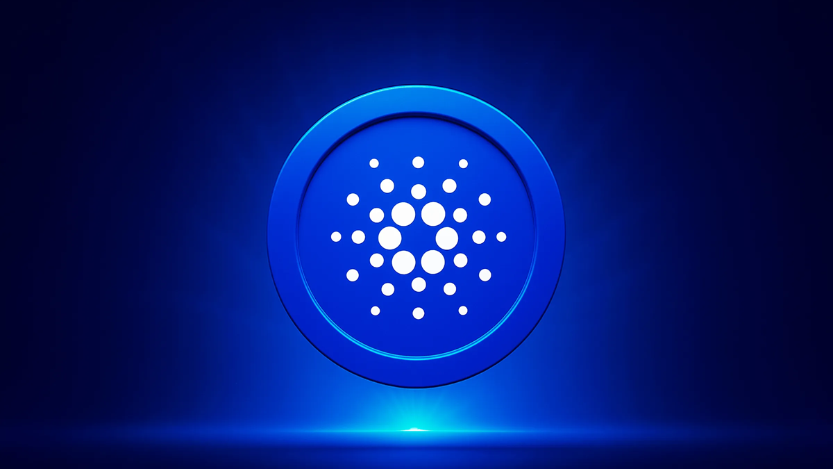 La actividad de las ballenas de Cardano se dispara mientras ...