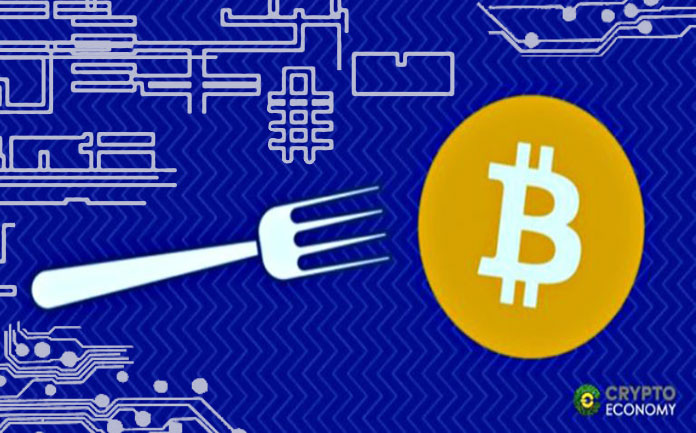 The Hard Forks and the adoption of cryptocurrencies