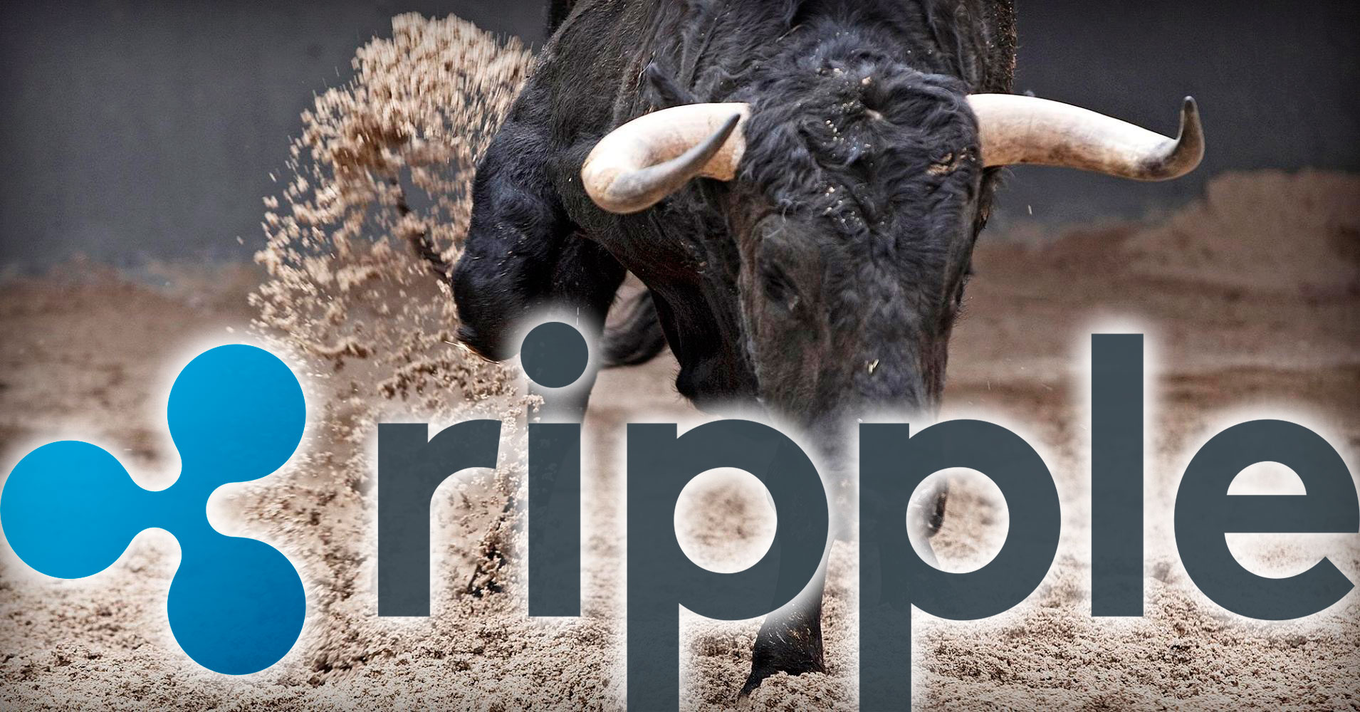 Ripple Bull Market