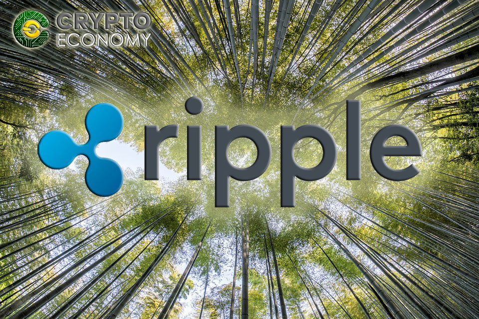 Ripple thoroughly explores the Chinese market