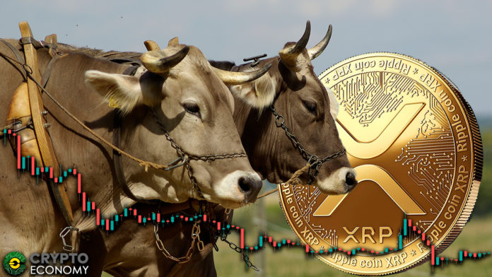 XRP-Bulls-overcoming-sellers