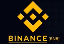 BNB Adds 33% From $220, Is The Bear Run Over?