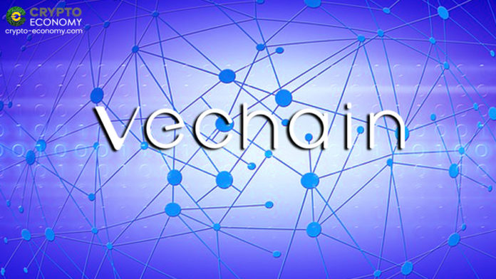 VeChain Provides Blockchain Infrastructure for China Animal Health And Food Safety Alliance