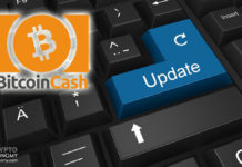 Bitcoin ABC Published Details About Participating in BCH Upgrade Testnet
