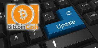 Bitcoin ABC Published Details About Participating in BCH Upgrade Testnet