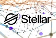 Stellar Development Foundation Published 2020 Q4 Report