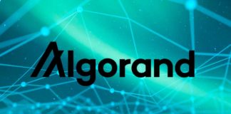 Borderless Capital Launches $500M ALGO Fund for Algorand Projects