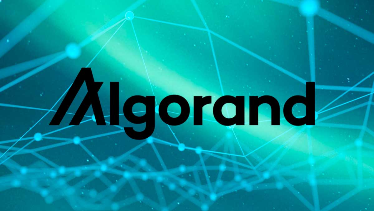 Algorand Foundation Launches New Blockchain Accelerator Program To ...