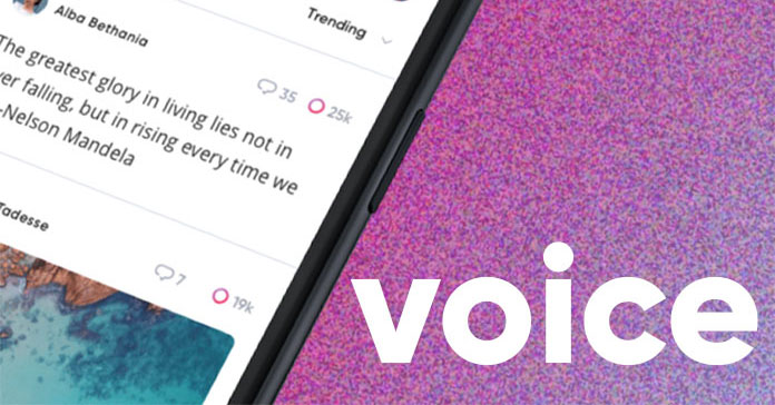 voice platform