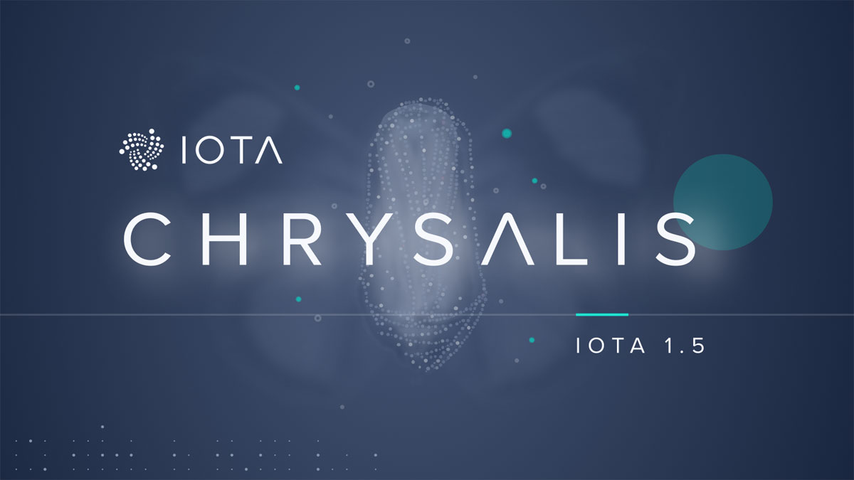 iota news chrysalis