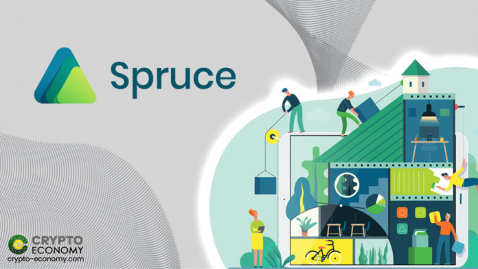 spruce crypto