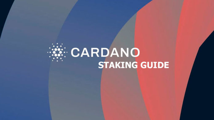 can you stake cardano