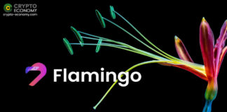 What is Flamingo—Neo’s Upcoming DeFi Protocol?