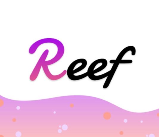 Alameda Research Invests $20M Into Polkadot-based DeFi Project REEF Finance