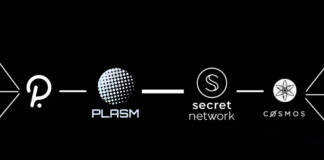 polkadot-plasm-secret-network-cosmos