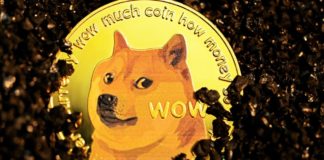 Dogecoin [DOGE] slips to 8th spot; Will Elon Musk come to the rescue?