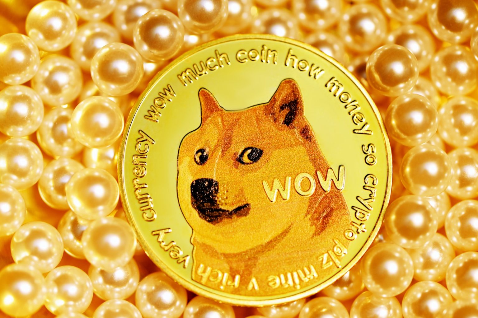 coin jumps as crypto fans declare doge day - cnn