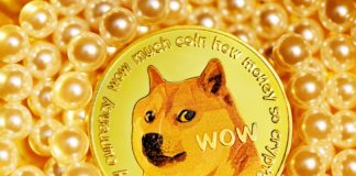 Dogecoin [DOGE] Jumps By 30%, Here's Why