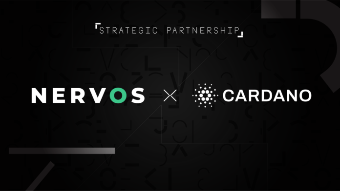 Cardano To Release Cross-chain Bridge Connecting Nervos Network