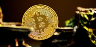 Bitcoin and the Crypto Market Recovers from Friday Plummet on Monday