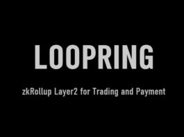 What is Loopring Protocol? A zkRollup-Based L2 Protocol for DEXes