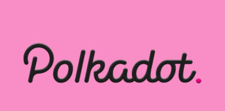 Assessing what's driving Polkadot's [DOT] appeal