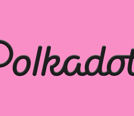 Assessing what's driving Polkadot's [DOT] appeal