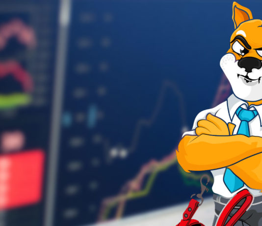 Shiba Inu [SHIB] emerges as largest ERC-20 token holding amongst top 1K Ethereum whales