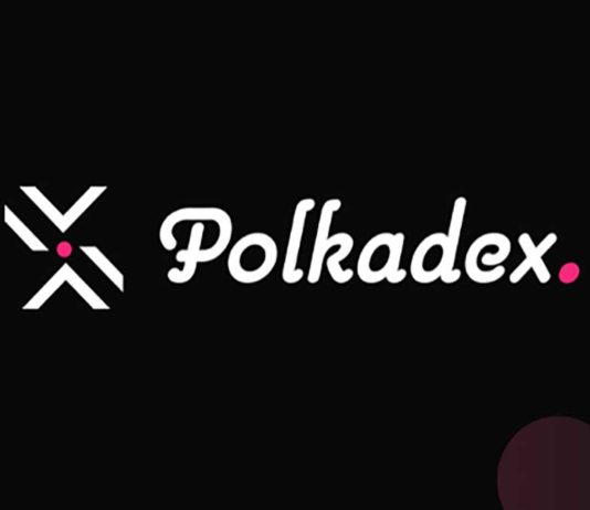What is Polkadex? A Brief Intro to Polkadot-based DEX