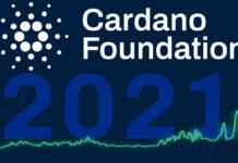 Cardano [ADA] Foundation reflects at a year of "incredible growth"