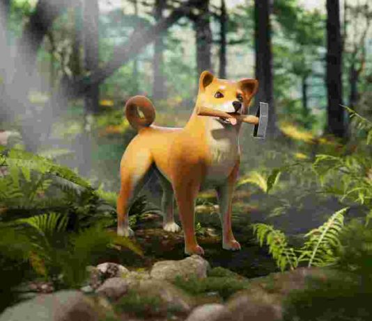 Shiba Inu Announces the Launch of Shiberse, the Metaverse of the Project
