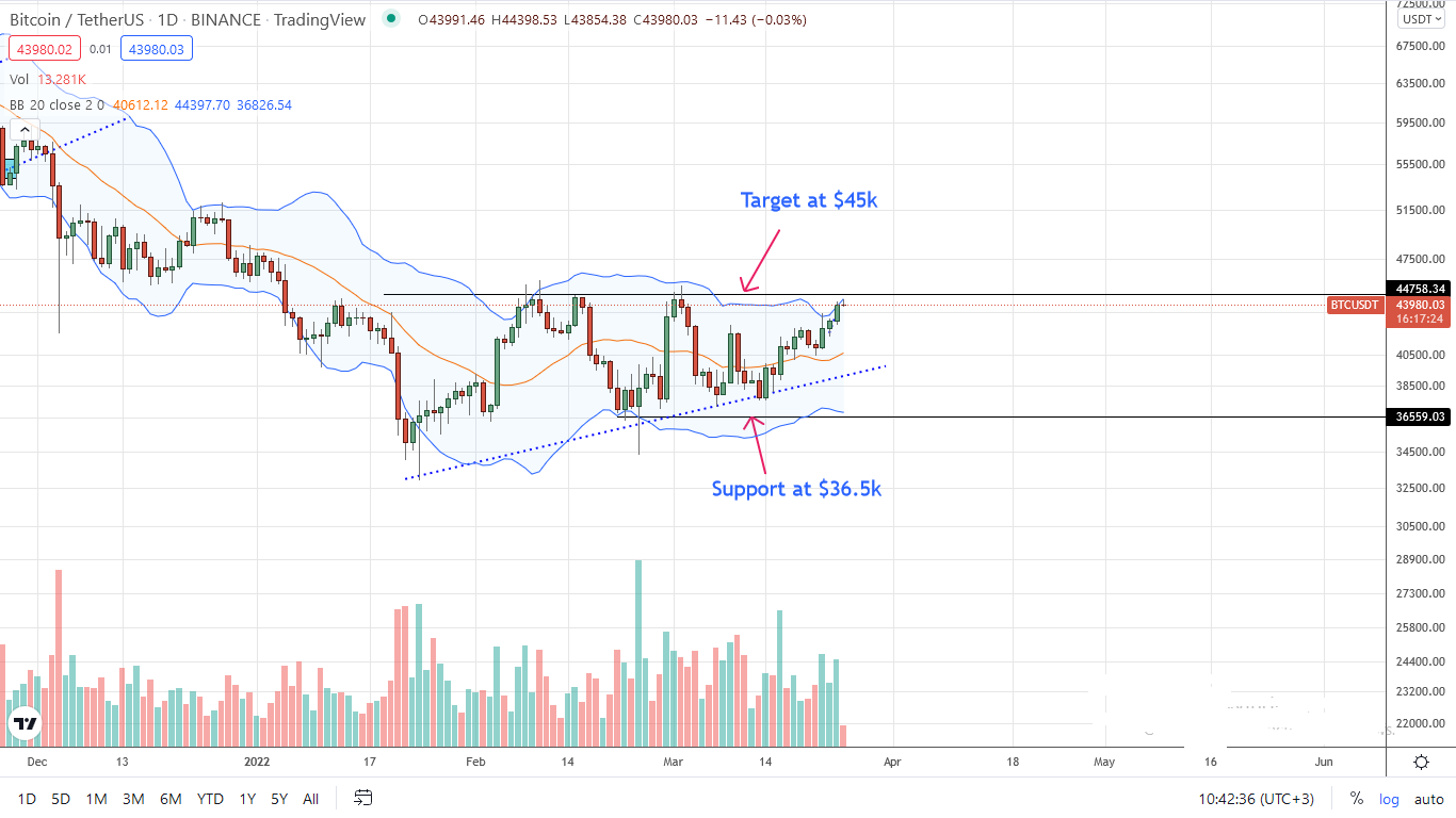 Bitcoin Daily Chart for March 25