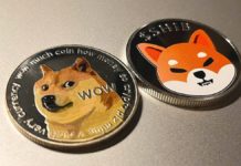CEO of AMCTheatres CEO Says They Will Soon Accept Shiba and Dogecoin