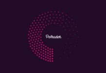 Polkadot is Down 70% in 2 Months; DOT Finds Support at $6.4